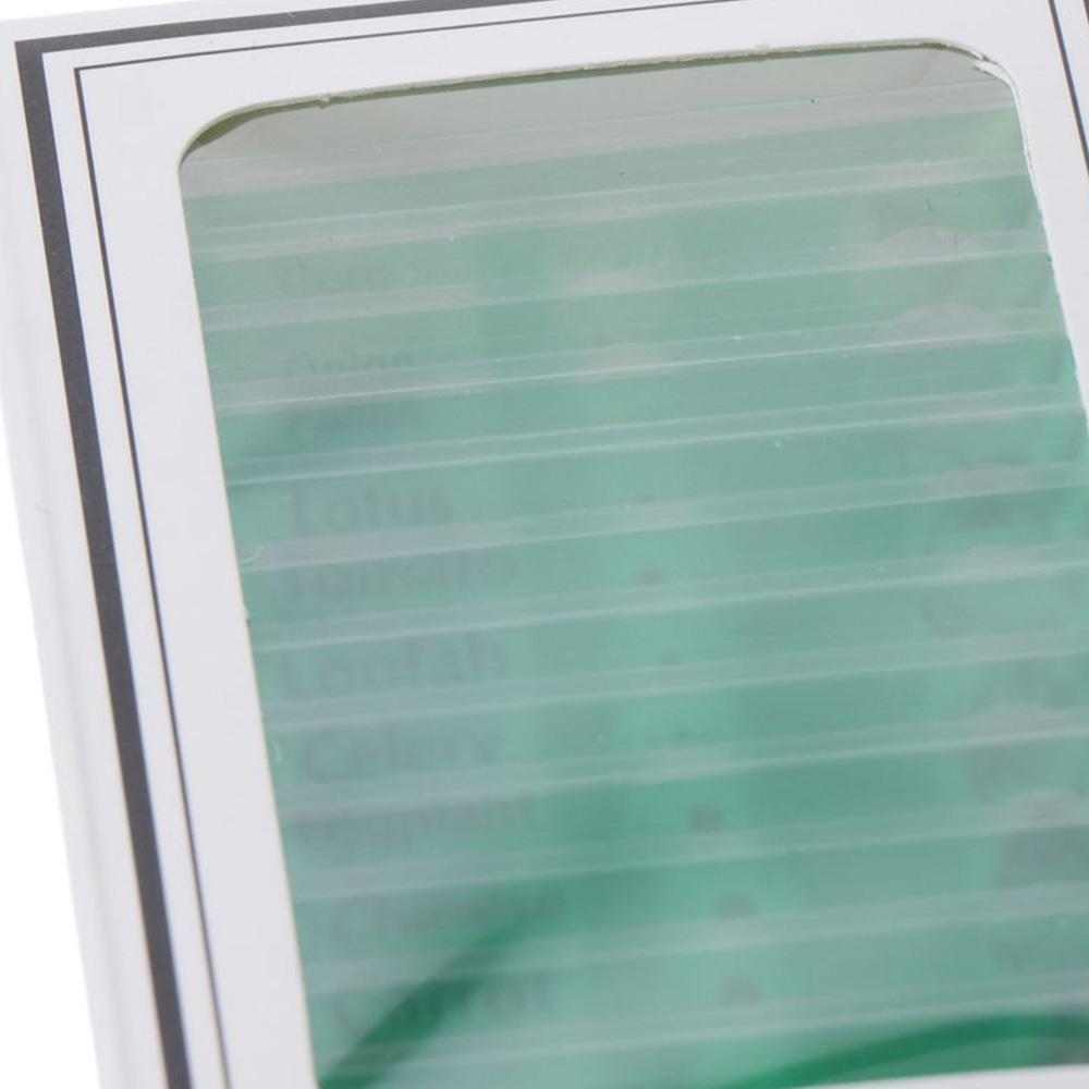 Животные Насекомые Растения Цветы Микроскоп Слайды Студенты Дети