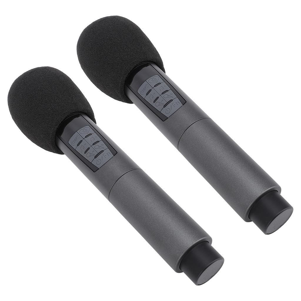 Беспроводной динамический микрофон с приемником 2.4G, 10 каналов, защита от помех, Bluetooth, беспроводной, два