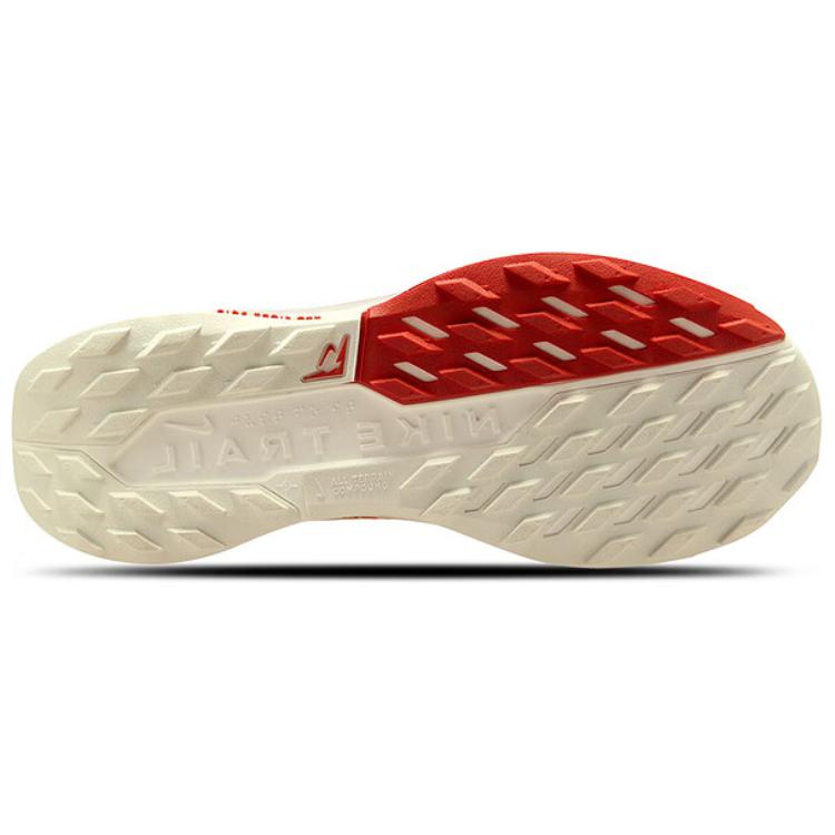 Nike Pegasus Trail 5 GORE-TEX Sail Picante Red женские кроссовки кремово-светло-Orewood-коричневый FQ0912-100