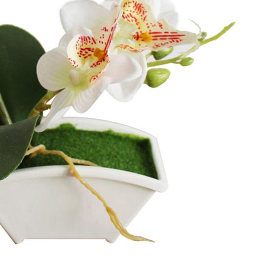 Durable Artificial Butterfly Orchid Vivid Vivid Color Realistic