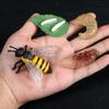 4 Pcs/Set Miniature Size Life Cycle Figurines Simulation Animal Models  for Kids Educational Play