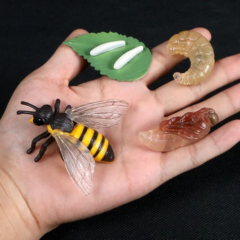 4 Pcs/Set Miniature Size Life Cycle Figurines Simulation Animal Models for Kids Educational Play