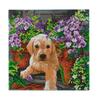 Diamond Painting Kit - CRYSTAL ART - Floral Pup - 30x30cm - 11 Pieces - Interior