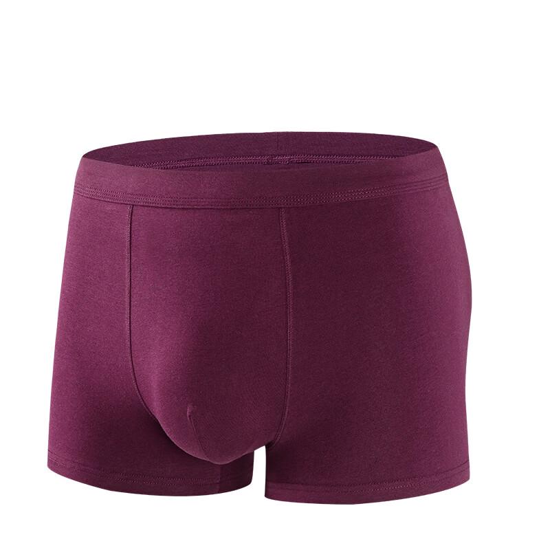 Cai Zhi Yan Men's Stretch Cotton Boxer Briefs