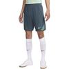 Nike Мужские спортивные штаны для футбола Dri Fit Цвет: Faded Spruce/Bicoastal Color/Enamel Green FQ2426-359