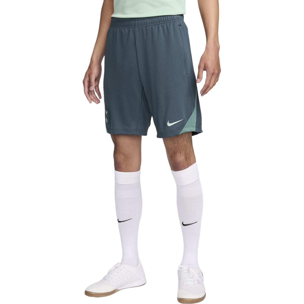 Nike Мужские спортивные штаны для футбола Dri Fit Цвет: Faded Spruce/Bicoastal Color/Enamel Green FQ2426-359