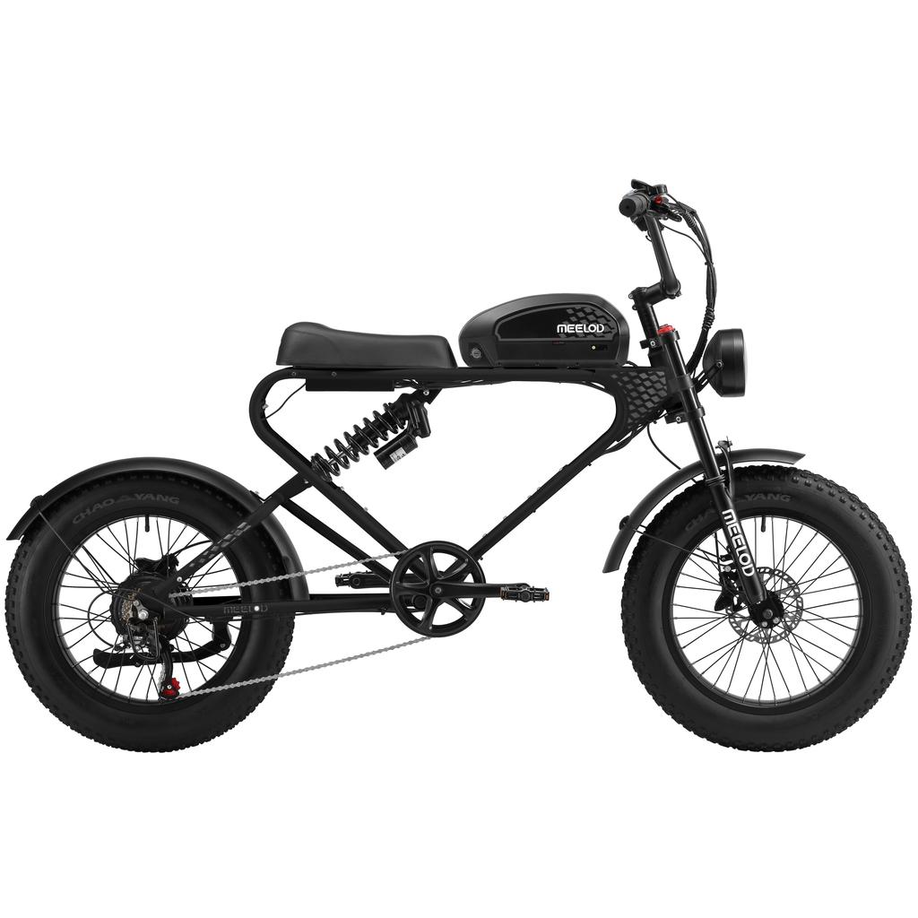 MEELOD DK300PLUS Adult Electric Bicycle 750W Motor 48V20Ah Battery Electrical Road Bike 20" Fat Tire Retro Urban Commuting Mountain E-Bike