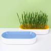 Yousheng Cat Grass Planter Soilless Planting Visible Water Level Drain Grid U-hole Sturdy Sink Detachable Catnip Grow Box Pet Supply