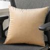 Solid Color Velvet Pillow Cover, Soft Plush Throw Pillow Case, 17.7x17.7 Inch Smooth Velvet Cushion Cover for Sofa, Bed, Office, Cozy Home Decor