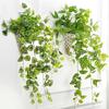 1/2 шт. Имитация комнатного настенного подвесного зеленого растения, настенное украшение, искусственные цветы, ротанг, имитация растения, зеленые листья, бегония