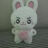 ZEROBASEONE Sung Han Bin 10cm Doll