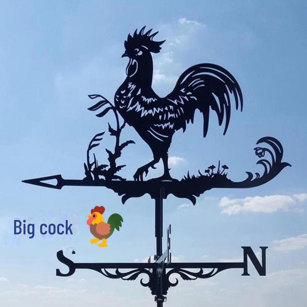 Stainless Steel Dragon Witch Weather Vane - Garden Wind Direction Indicator