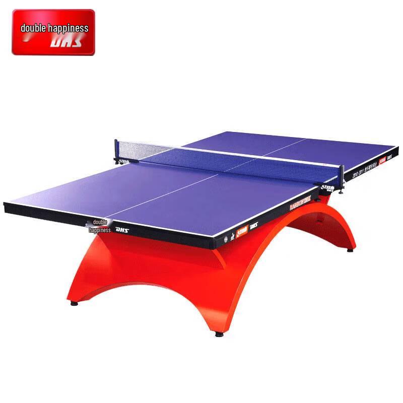 DHS Rainbow Pro Ping Pong Table