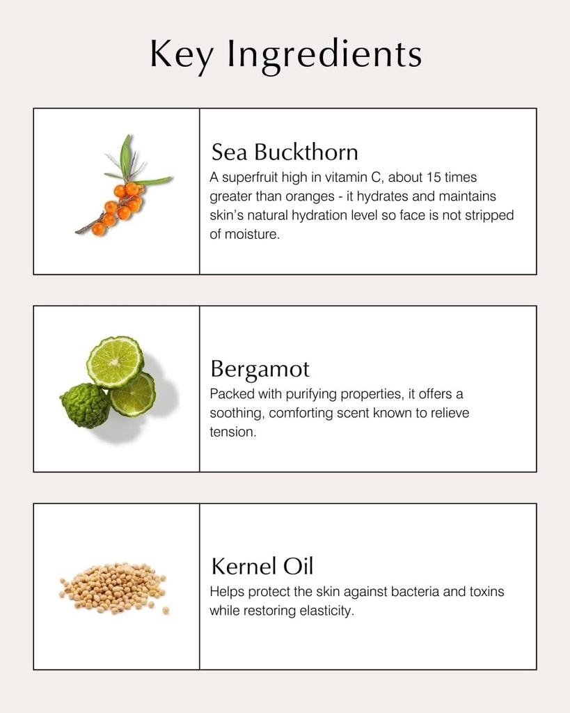 Увлажняющая пенка для умывания лица John Masters Organics Sea Face Wash 150 мл B&S (Бергамот и облепиха)