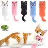 Pet Toy Rustle Sound Catnip Toy Cat Supplies Pet Cute Cat Toys Kitten Teeth Grinding Cat Plush Thumb Pillow Pet Products