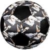 BlueLock Theme Size 5 Soccer Ball, Suitable for Both Indoor and Outdoor Matches, a Gift Suitable for Everyone.