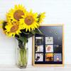 Board Pins Rose/Sunflower/Daisy Shape Photo Wall Nail Push Pins Thumbtack Decorative Drawing Pins