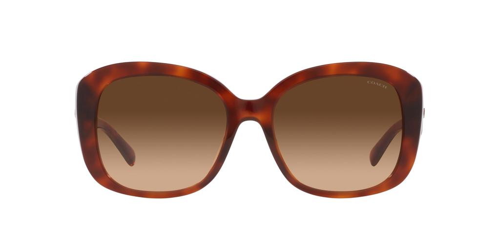 Sunglasses HC8363U CH564 CARAMEL TORTOISE GRADIENT Lens 56 [Coach] Frame/BROWN