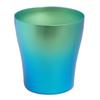 HORIE Titanium Double Tumbler Limited Model Fresh Green Green Blue 2 Color Set T15SR250G13G18 Wedding Blessing Thank You Gift Made In Japan &