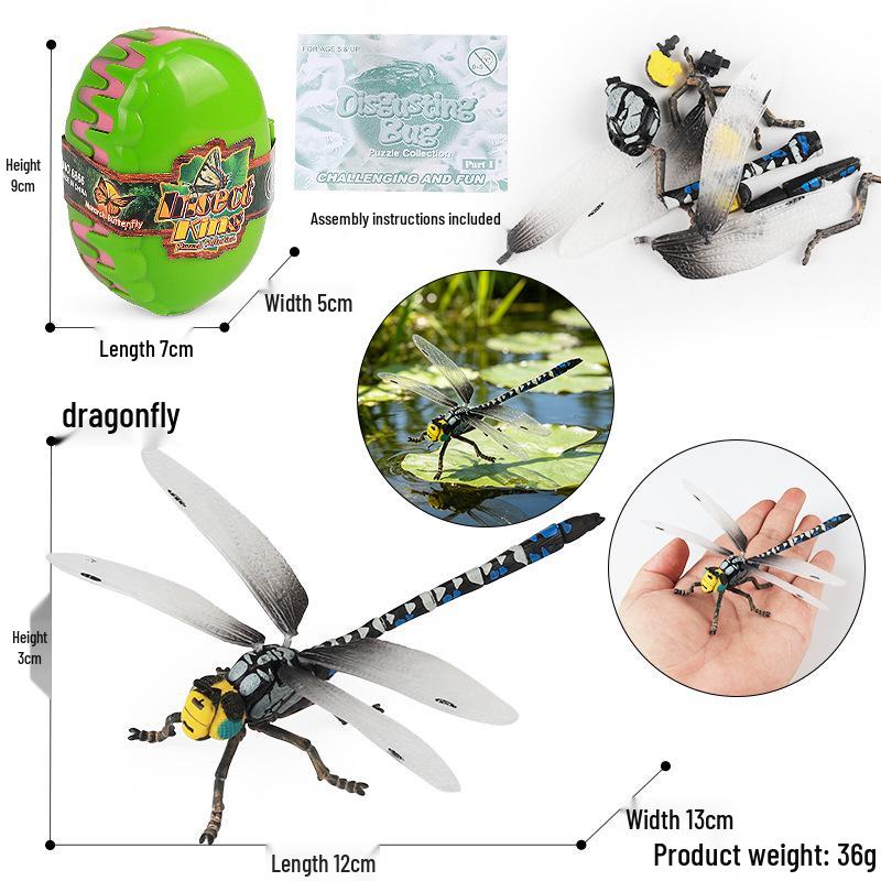 4D Stereo DIY Animal Model Kit: Eagle, Scorpion, Gecko, Rattlesnake, Spider, Lizard, Squirrel, Hedgehog