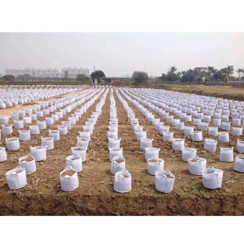 Eco-friendly Planters Supplies Thickening Plant Pouch Root Container Grow Bag Round Fabric Pots