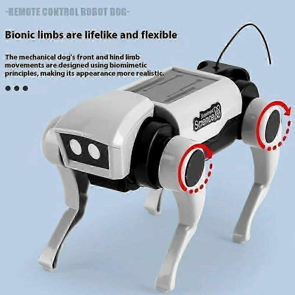 DIY Mechanical Robot Dog and Cat Kit Remote Control Walking Toy STEM Educational Assembly Set with Remote
