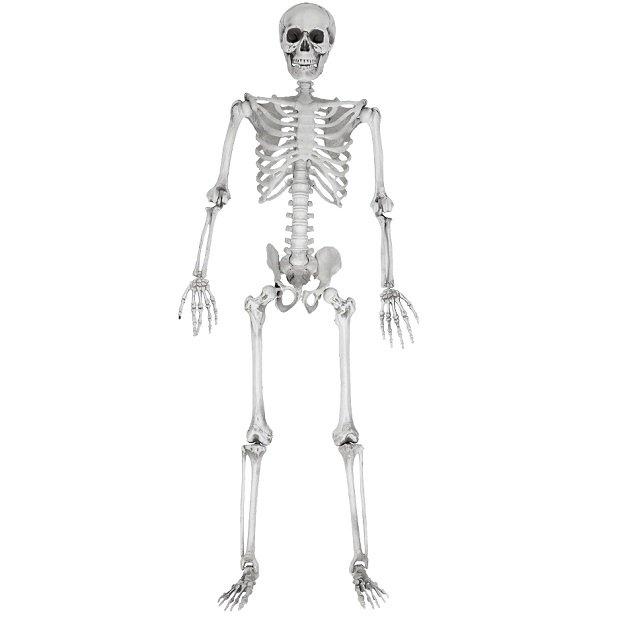 Szkielet człowieka model kościotrup halloween 170cm kostium dekoracje