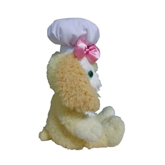 Cookie Ann plush toy wrapping bag included limited TDS park Duffy Friends.