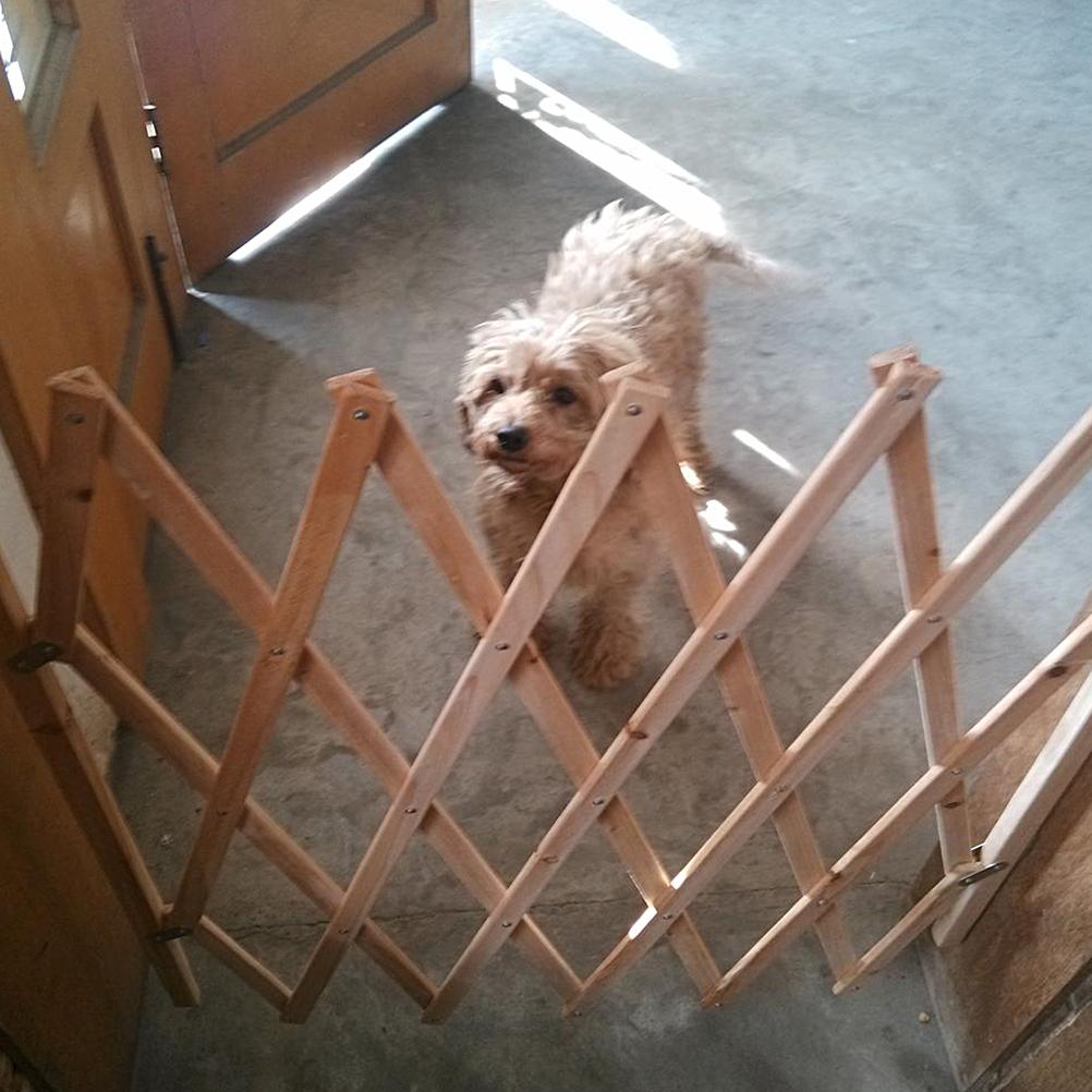 Pet Gate Retractable Регулируемая раздвижная дверь для собак Деревянные внутренние ворота для собак Дверной проем Лестница Pet Puppy
