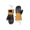 Arcteryx Saber Mitten Yukon Aeofux7504