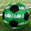 РАЗМЕР 5 Футбольный мяч Raja Casablanca Цветной Для всех возрастов Машинная строчка ПВХ Готов к соревнованиям Прочный Высокий отскок