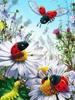 5d Flower Diamond Painting Diy Vase Embroidery Ladybug Bird Cross Stitch Sale Mosaic Home Decor