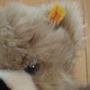 [USED] Steiff teddy bear plush toy