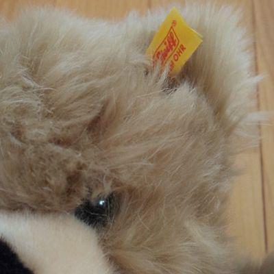 [USED] Steiff teddy bear plush toy