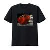 Футболка TINDERSTICKS Арт-принт Фламенко Доступна в размерах S M L XL винтажная Стиранная Унисекс Универсальная мода