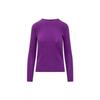 Polo FW23 Solid Color Chunky Knit Casual Long Sleeve Sweater Women Sweater Purple 211910421-014