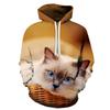 Girl 3D Printing Women Hoodies Cat Animal Series Pullover Animals Long Sleeve Hoodies Girls Tops Man Sweatshirts