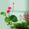 Aquarium Artificial Lotus Plants Fish Tank Decorations Water Grass Ornaments Realistic Aquatic Flowers Easy To Clean Durable Eco-Friendly