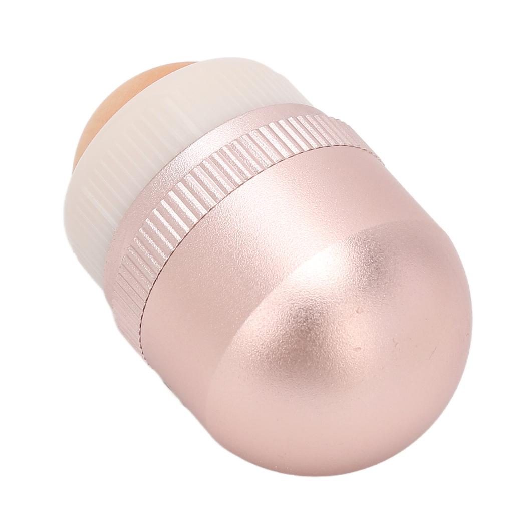 Oil Absorbing Volcanic Roller for Oily Skin Face Makeup Portable Reusable Oil Control Facial Roller