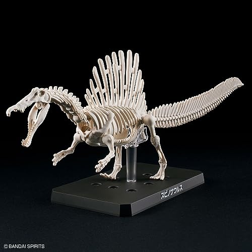 BANDAI SPIRITS Планозавр Спинозавр пластиковая модель с цветовой кодировкой