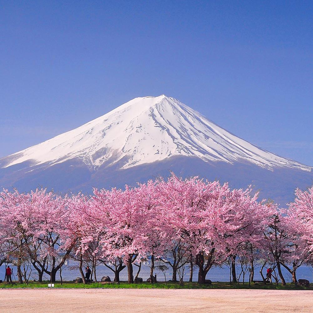 5D DIY Diamond Painting Landscape Architecture Full Diamond Square/round Diamond Embroidery Cross Stitch Collection Home Wall Decoration Art