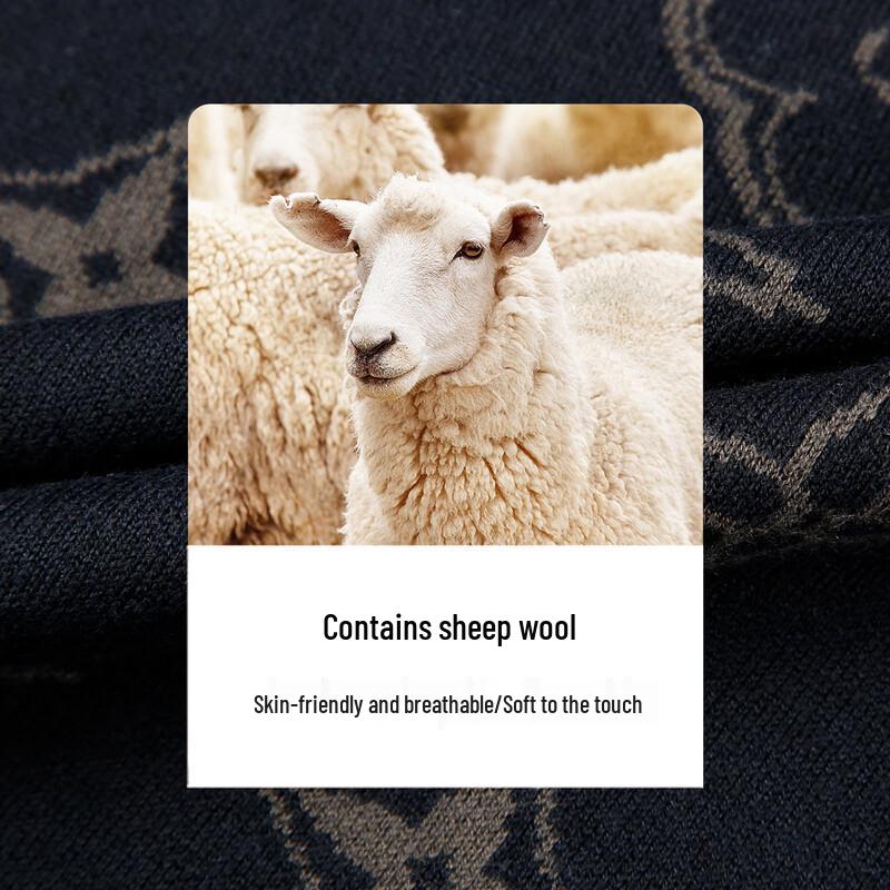 Caizi Men's Pullover Round Neck Sweater