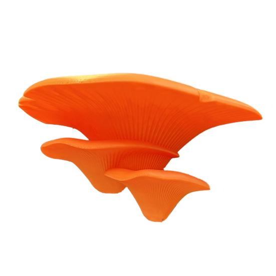 Mushroom Shape Bracket, Double Purpose Stand for Displaying And Storing Items, Wall Decoration Shelf for Glass Tiles Smooth Surfaces