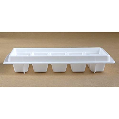 Inomata Chemical Co., Ltd. Large Ice Cube Tray, 10 Pieces
