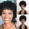 Synthetic Black Braided Wigs for Women Locs Crochet Twist Hair Short Afro Curly Wig Cool Girl Dreadlock Wig Daily Party