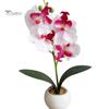 Искусственная Орхидея в горшке