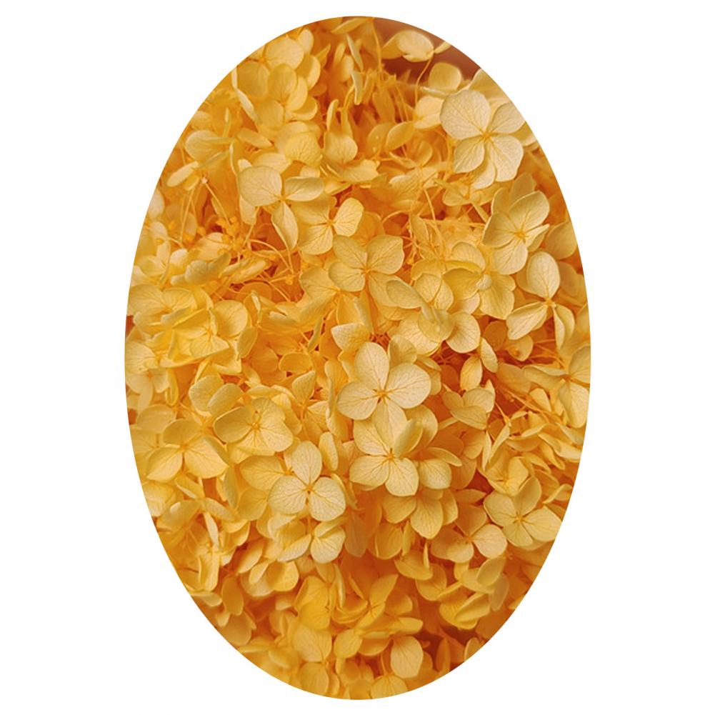 1 коробка цветных сухоцветов натуральные реалистичные головки гортензии своими руками натуральные свежие стабилизированные цветы гортензия свадебные сувениры