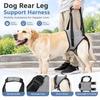 Adjustable Velcro Strap Dog Rear Leg Support Harness Dog Lift Support Strap  Injured Dogs