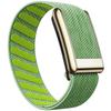 Whoop 5.0 Nylon Elastic Sport Band with Shiny Metal Frame (Gold/Silver)