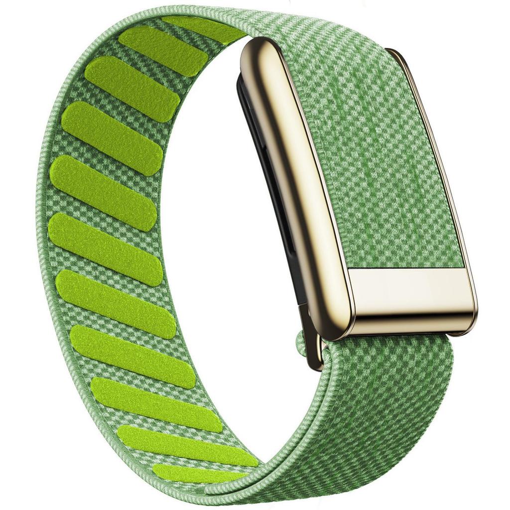 Whoop 5.0 Nylon Elastic Sport Band with Shiny Metal Frame (Gold/Silver)